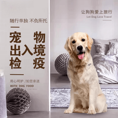 酒泉宠物托运到哥伦比亚猫狗宠物入境规定和