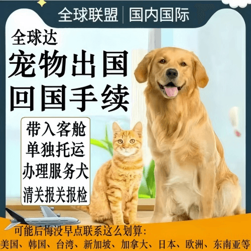 酒泉宠物托运到柬埔寨宠物入境规定和要求